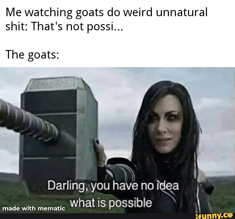 Me watching goats do weird unnatural shit: That's not possi... The ...