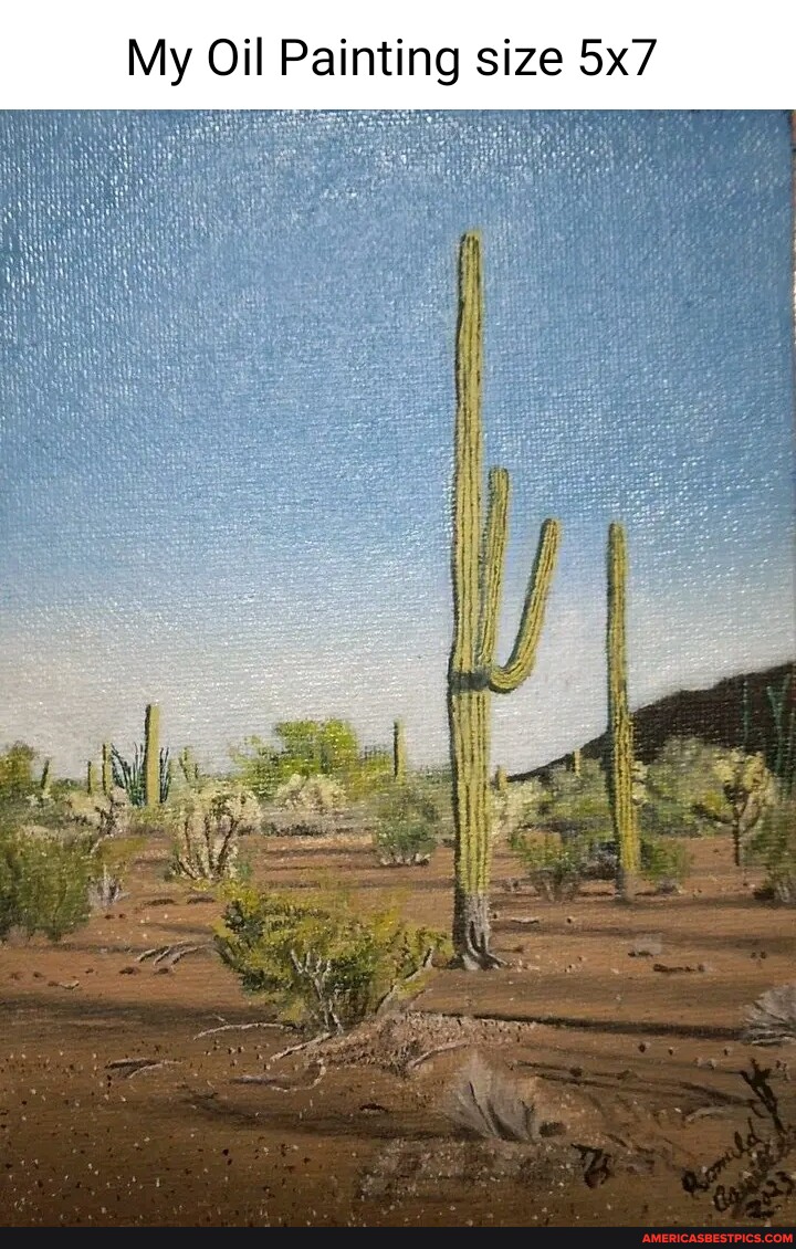 My Oil Painting size America’s best pics and videos