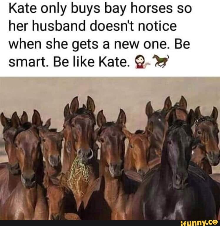 Kate only buys bay horses so her husband doesn't notice when she gets a ...