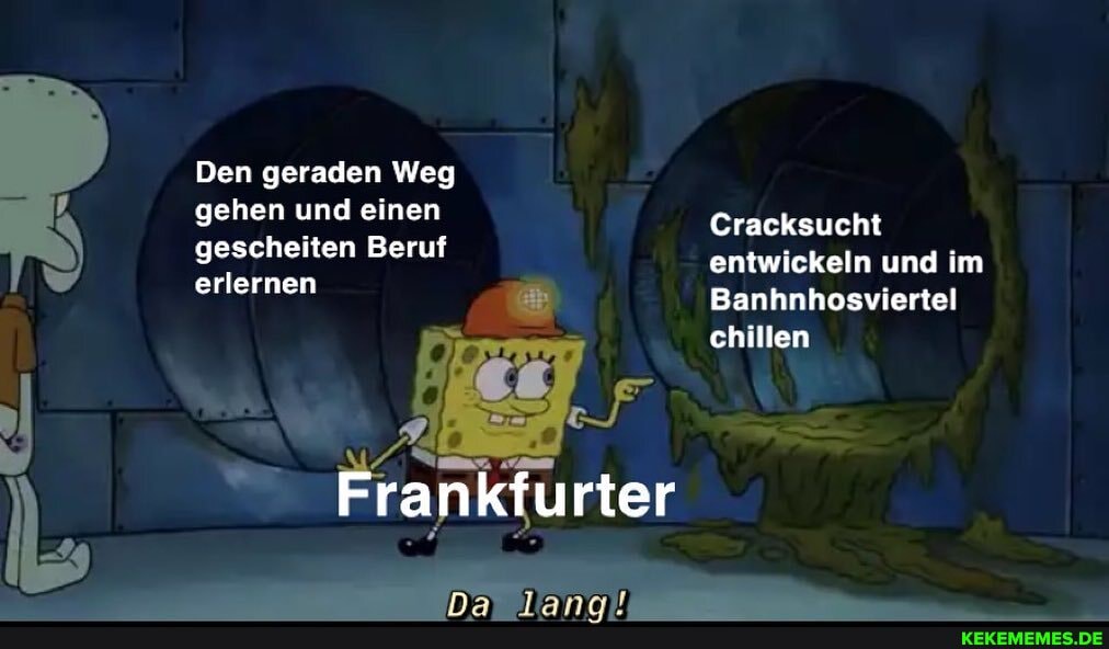 Den geraden Weg gehen und einen
gescheiten Beruf erlernen
Cracksucht entwickeln und im
Banhnhosviertel chillen
Frankfurter