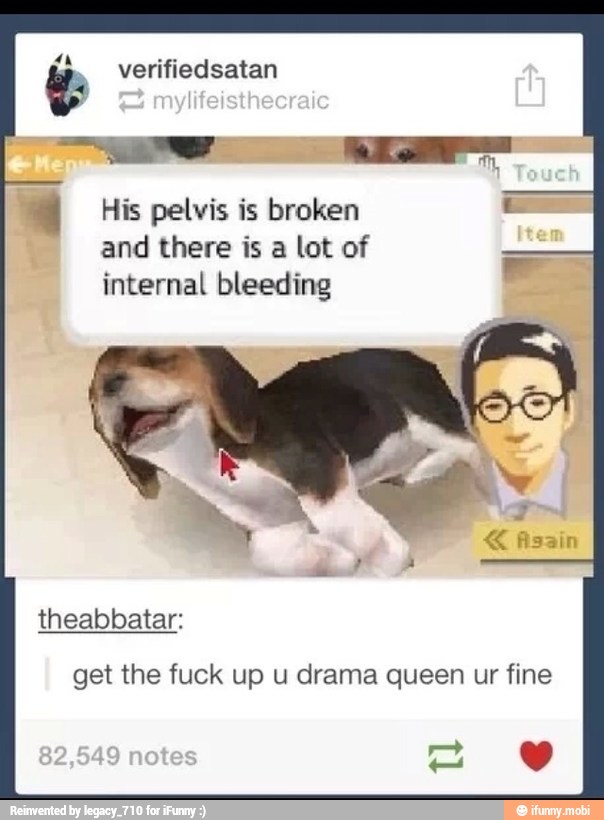 Y. verifiedsatan
His pelvis is broken
and there is a lot of
internal bleeding
get the fuck up u drama queen ur fine