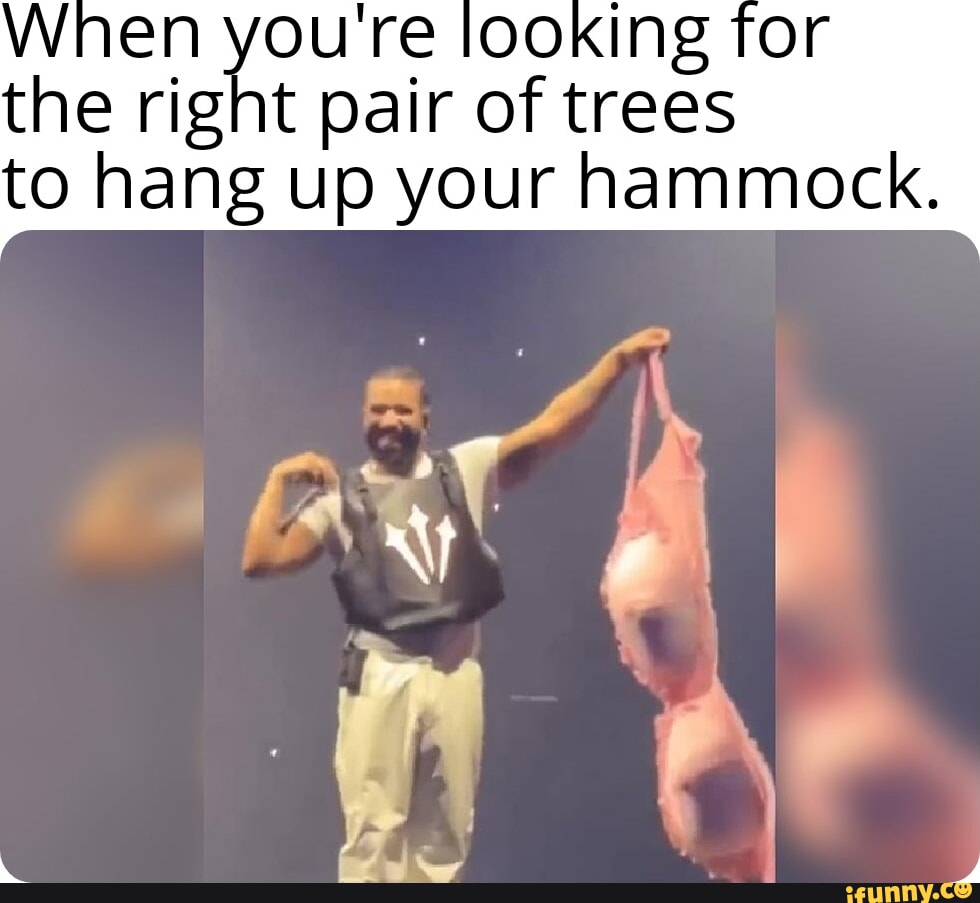 Hammock memes. Best Collection of funny Hammock pictures on iFunny