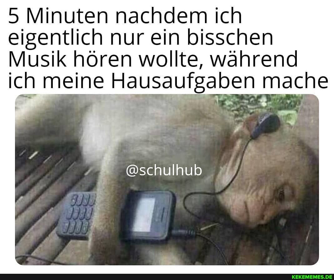 5 Minuten nachdem ich eigentlich nur ein bisschen
Musik hören wollte, während ich meine Hausaufgaben mache
@schulhub