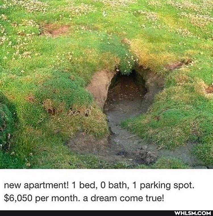 new apartment! 1 bed, bath, 1 parking spot.
$6,050 per month. a dream come true!