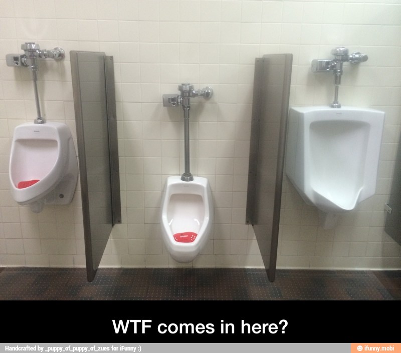 WTF comes in here? - WTF comes in here?