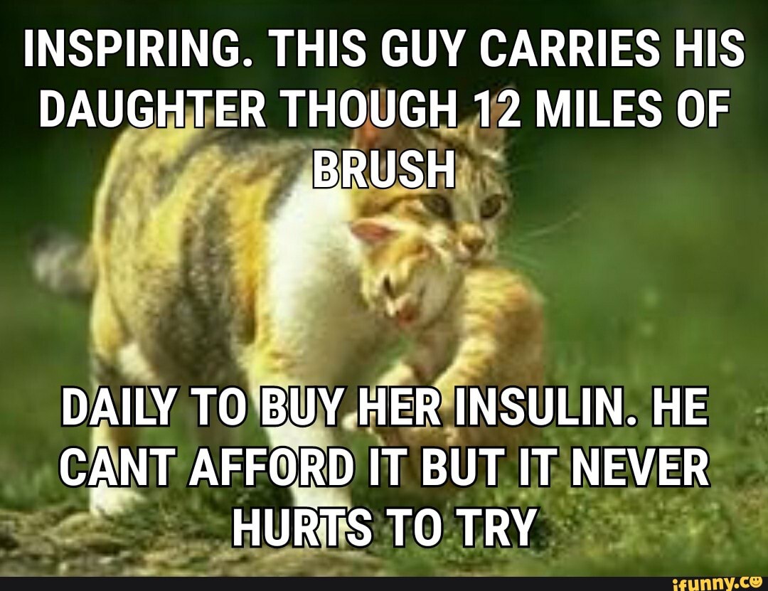 INSPIRING. THIS GUY CARRIES HIS DAUGHTER THOUGH 12 MILES OF BRUSH
DAILY TO HER'! INSULIN. HE CANT AFFORD IT BUT IT NEVER HURTS TO TRY