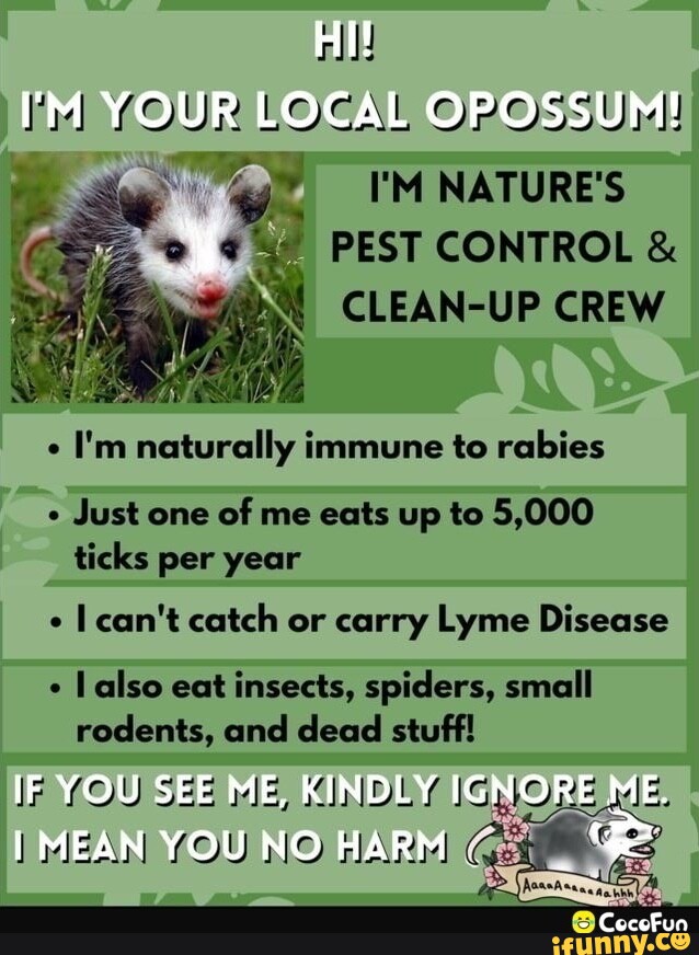 Rabies memes. Best Collection of funny Rabies pictures on iFunny