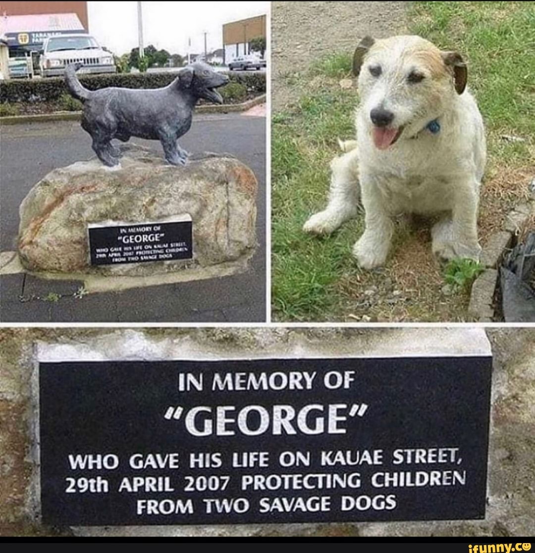 IN MEMORY OF
"GEORGE"
WHO GAVE HIS LIFE ON KAUAE STREET,
29th APRIL 2007 PROTECTING CHILDREN FROM TWO SAVAGE DOGS
