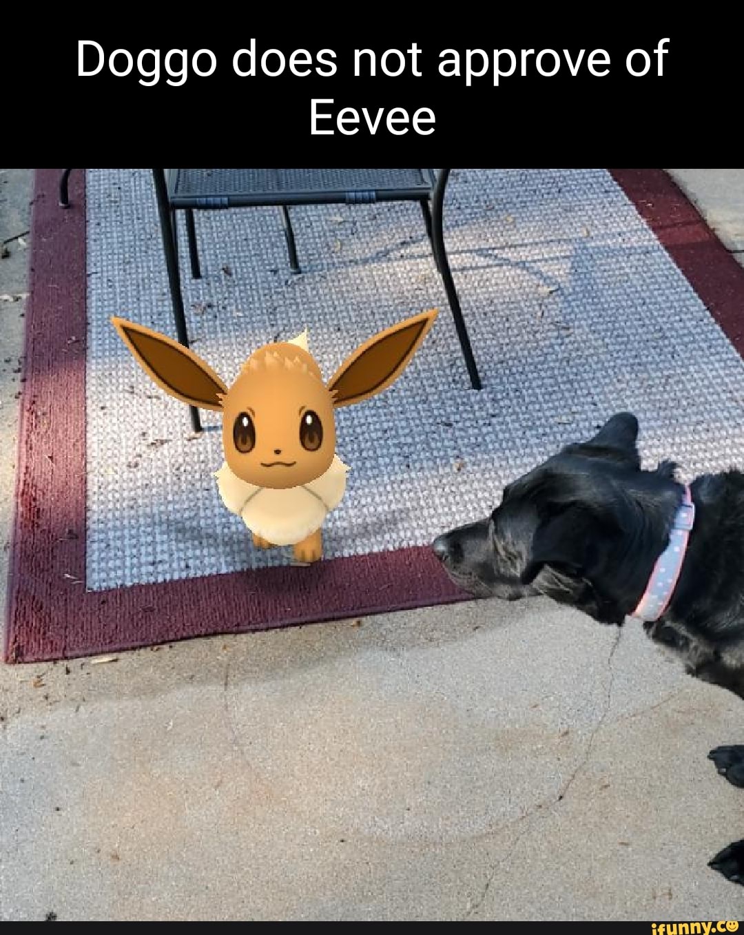 me
Doggo does not approve of
Eevee
~ /