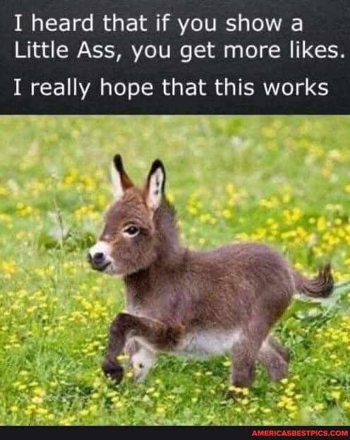 I heard that if you show a
Little Ass, you get more likes.
I really hope that this works
al