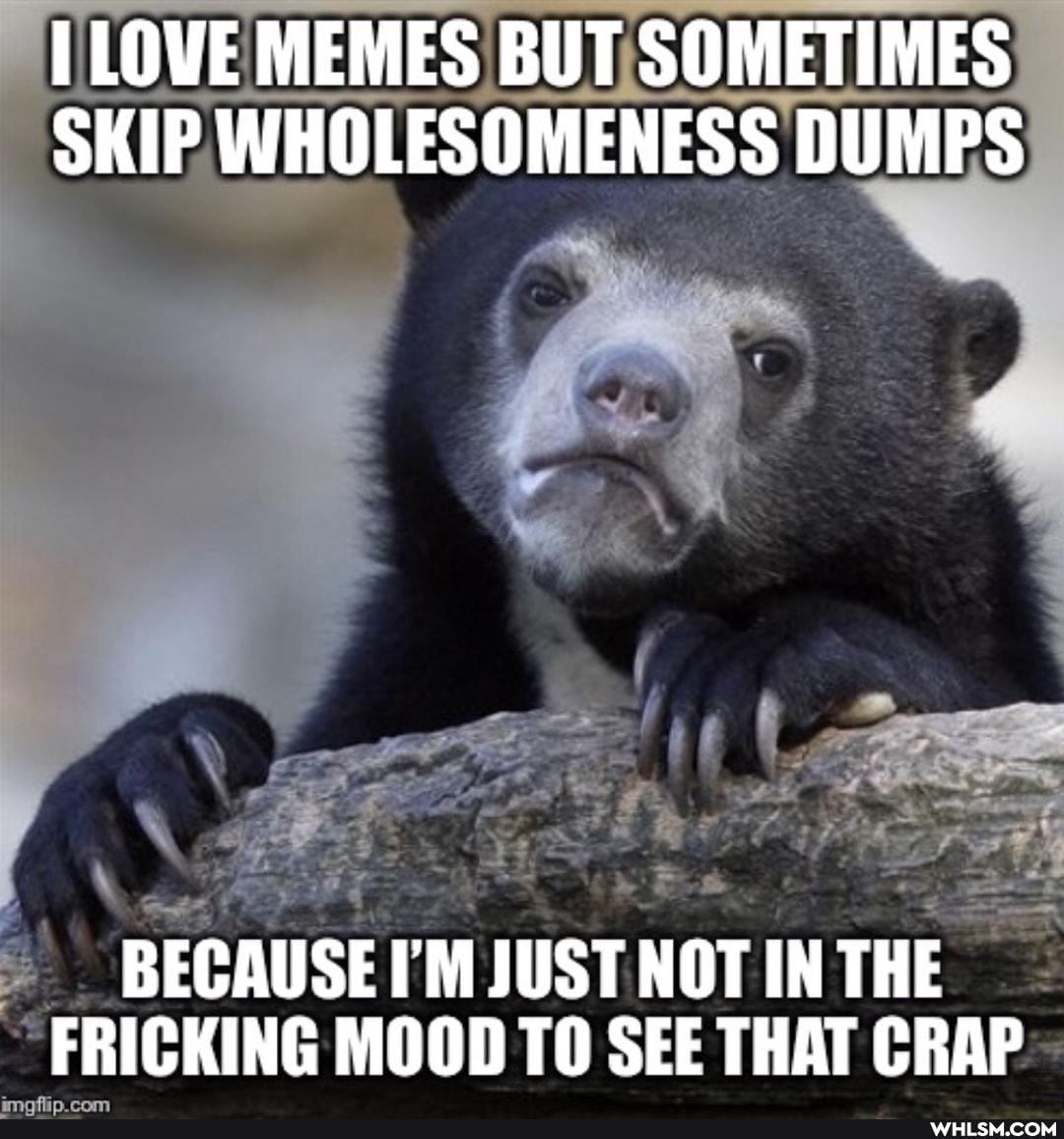 PLOWE MEMES BUT SOMETIMES SKIP WHOLESOMENESS DUMPS
BECAUSE I'M JUST NOT INTHE FRICKING MOOD TO SEE THAT CRAP