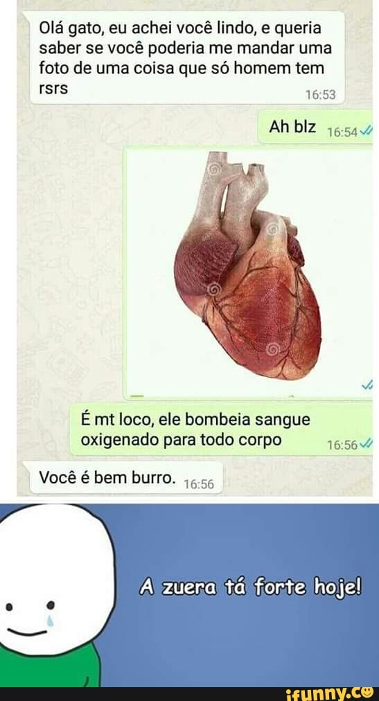 Olá gato, eu achei você lindo, e queria
saber se você poderia me mandar uma
foto de uma coisa que só homem tem
É mt loco, ele bombeia sangue
oxigenado para todo corpo 16:564
Você é bem burro.
6.56
