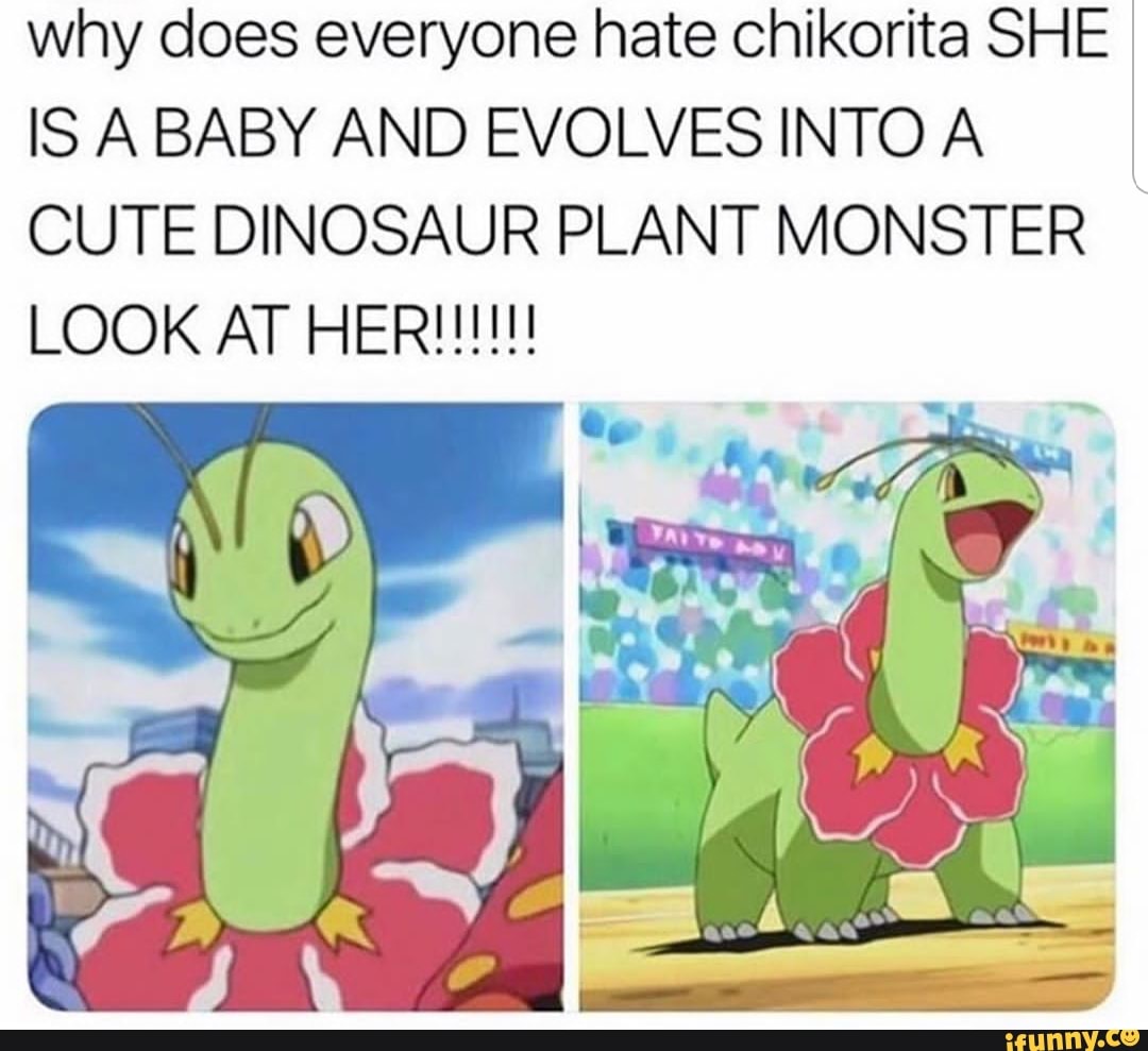 Why do you lie to me. Сумерки юмор. Sad facts pokemon. Why does everyone. Мем чикорита крутит листочком.