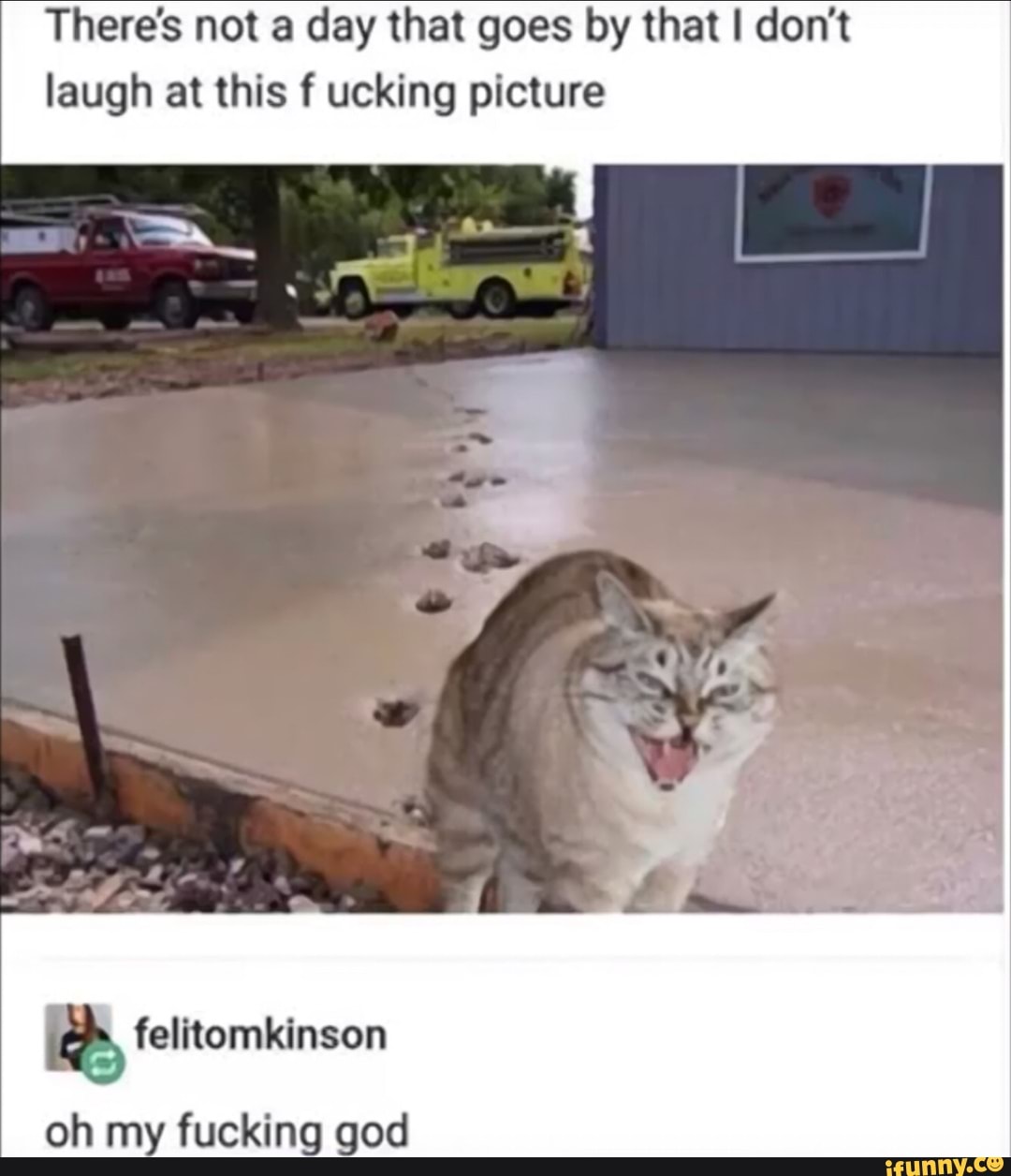There's not a day that goes by that I don't
laugh at this f ucking picture
