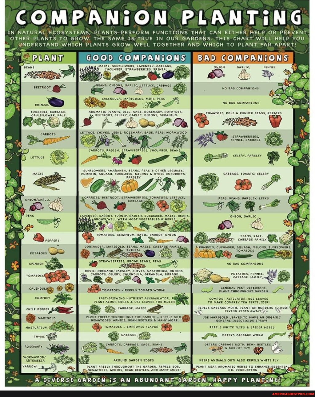 COMPANION PLANTING IN NATURAL ECOSYSTEMS, PLANTS PERFORM FUNCTIONS THAT ...