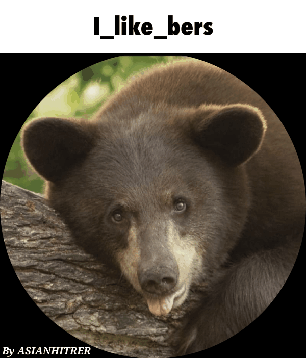 Asianhitrerflippinggif memes. Best Collection of funny