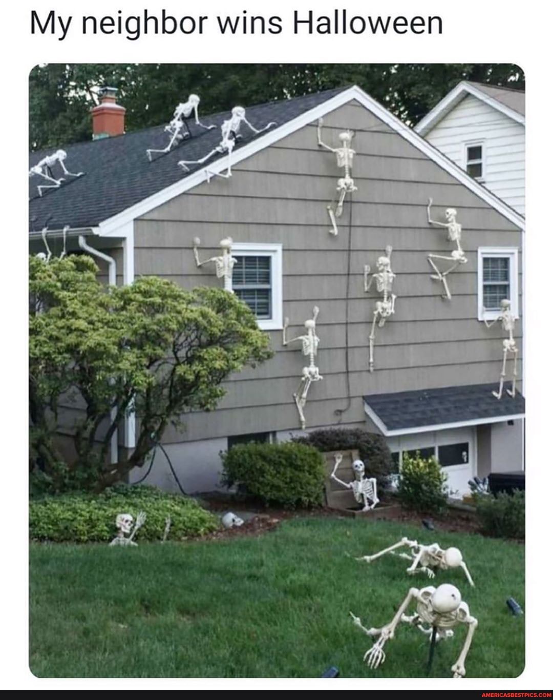 My neighbor wins Halloween