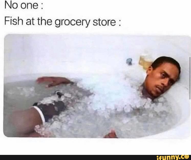 No one:
Fish at the grocery store
