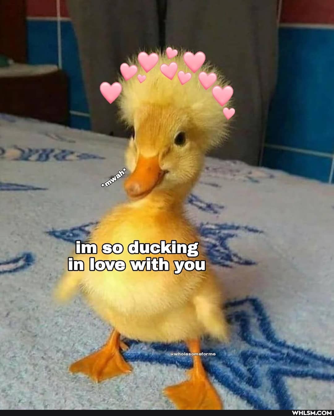 im so ducking in love with you