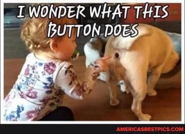 WONDER WHAT THIS BUTTON DOES