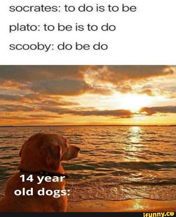 socrates: to do is to be
plato: to be is to do
scooby: do be do
14 year
old dogs: