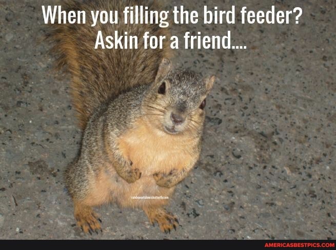 When you filling the bird feeder?
Askin fora friend...