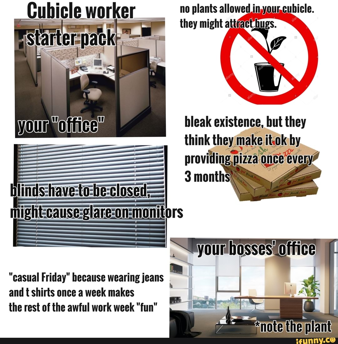 Cubicle memes. Best Collection of funny Cubicle pictures on iFunny