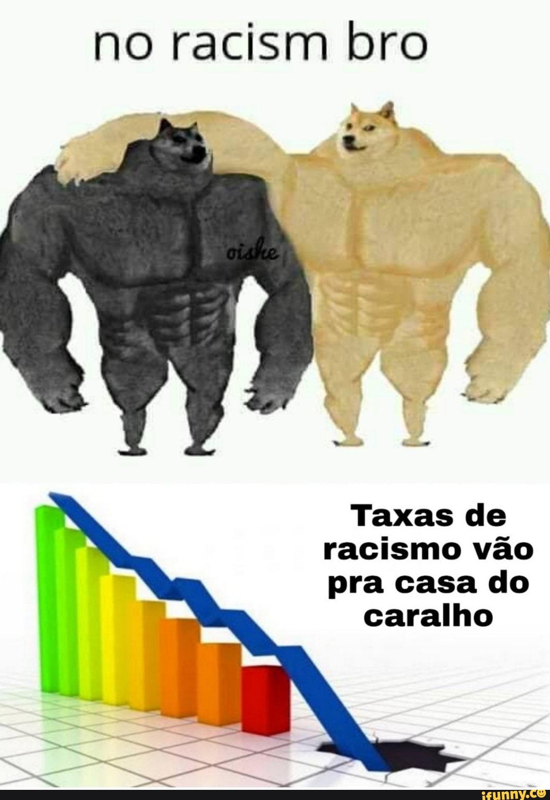 no racism bro
Taxas de
racismo vão
pra casa do
caralho