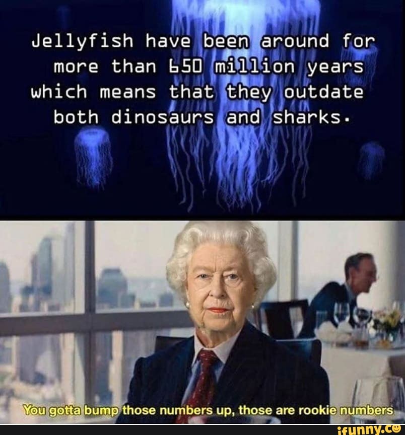 Jellyfish have been Bound for more than on
which means that outdate both dinosaurs and) sharks.
mp those numbers up. those are rookie.