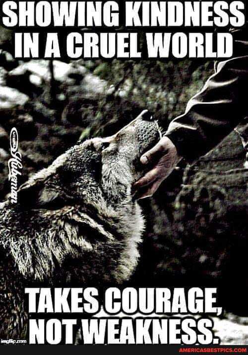 SHOWING KINDNESS Al GRUEL WORLD
TAKES COURAGE,
MOAT INEALLCCCe-.