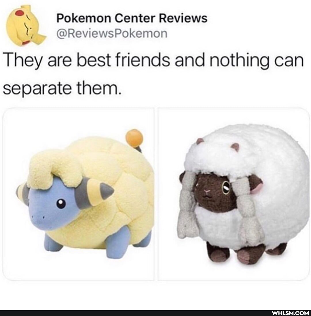 Pokemon Center Reviews
@ReviewsPokemon
They are best friends and nothing can separate them.