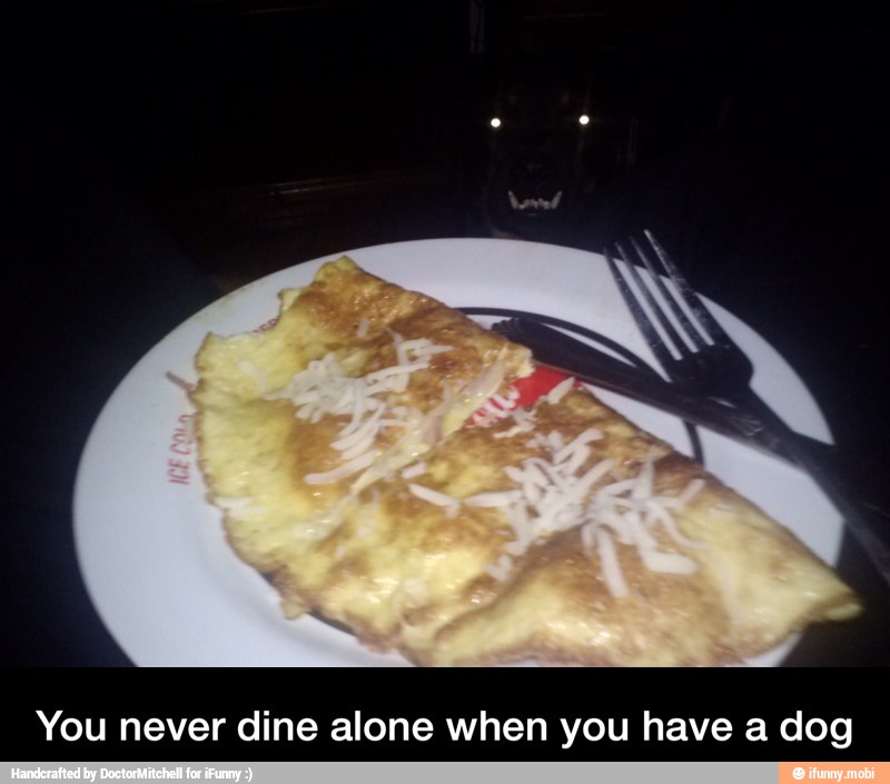 You never dine alone when you have a dog - You never dine alone when you have a dog