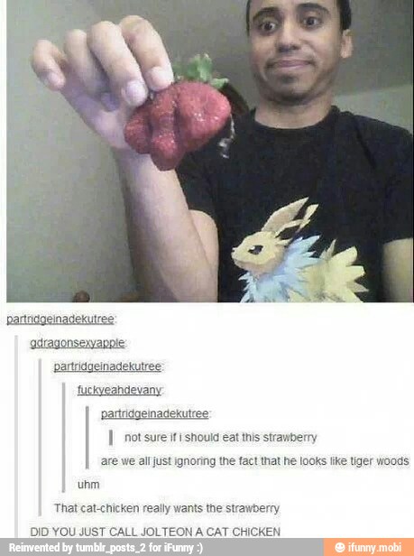 YOU JUST CALL JOLTEON A CAT CHICKEN
um
That cat-chicken realy wants the strawberry
DID