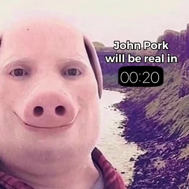 John Pork's Real Voice Revealed 😲 #shorts #memes 