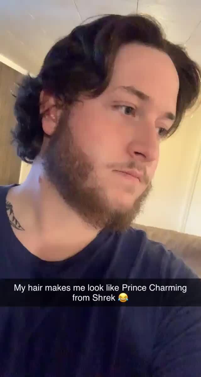 prince charming shrek hair