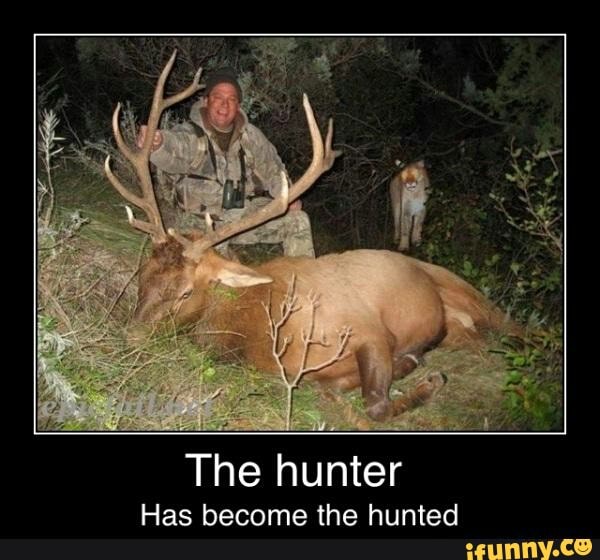 The Hunter Has Become The Hunted