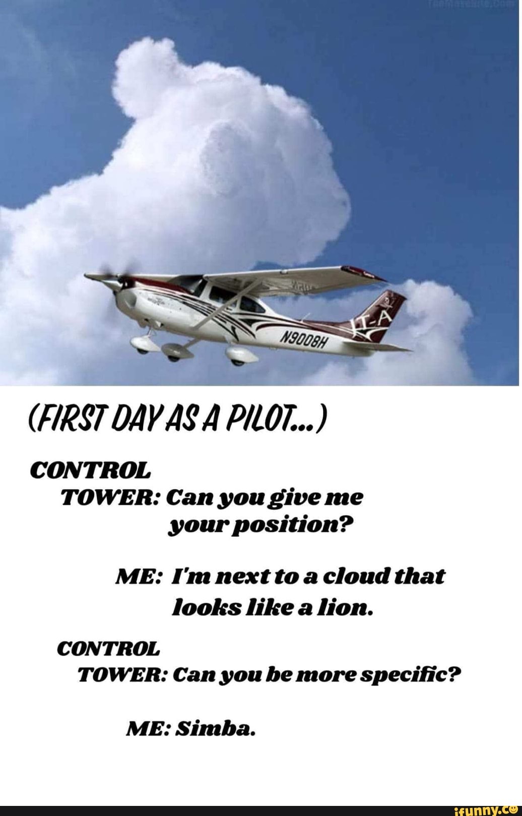 CONTROL
TOWER: Can you give me
your position?
ME: Tm next to a cloud that
CONTROL
TOWER: Can you be more specific?
ME: Simba.