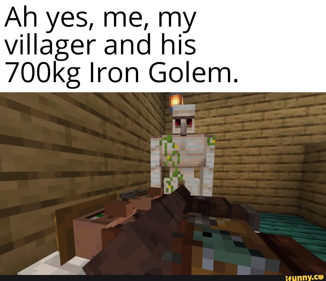 Ah yes, me, my villager and his
700kg Iron Golem.