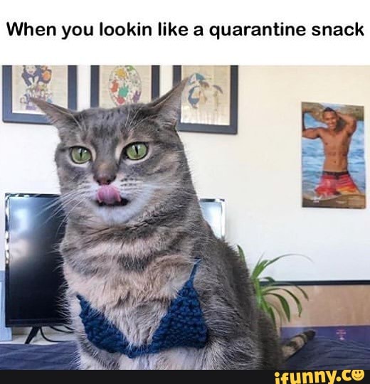 When you lookin like a quarantine snack