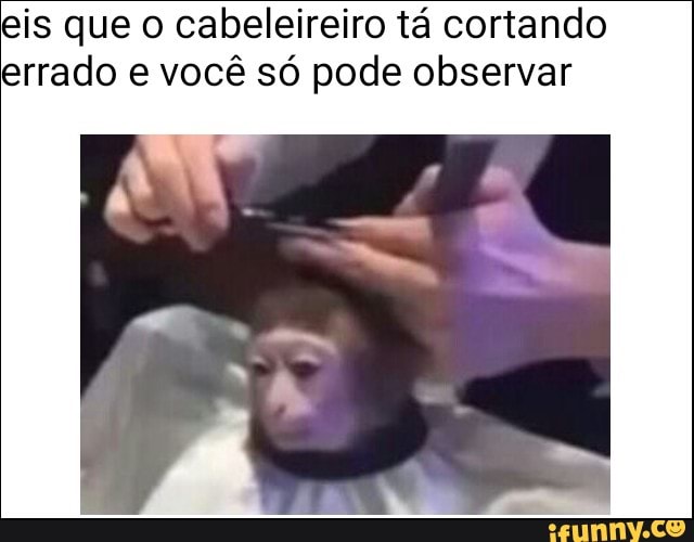 eis que o cabeleireiro tá cortando
errado e você só pode observar
