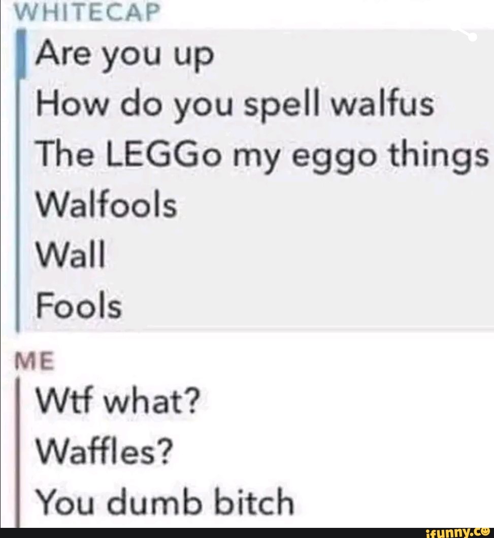 whitecap-are-you-up-how-do-you-spell-walfus-the-leggo-my-eggo-things