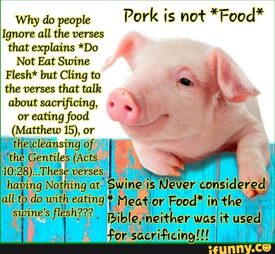 why-do-people-pork-is-not-food-ignore-all-the-verses-that-explains