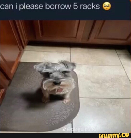 Racks memes. Best Collection of funny Racks pictures on iFunny