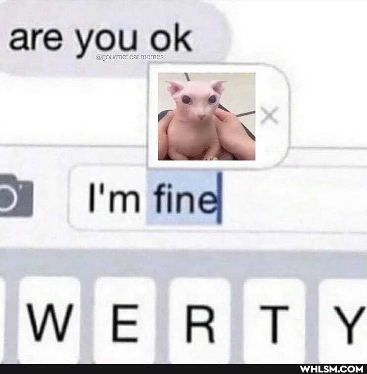 are you ok
I'm find
WERT