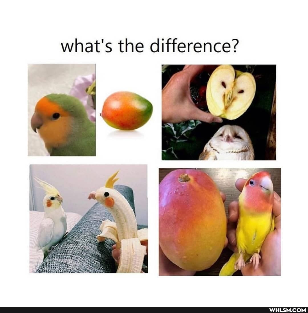 what's the difference?