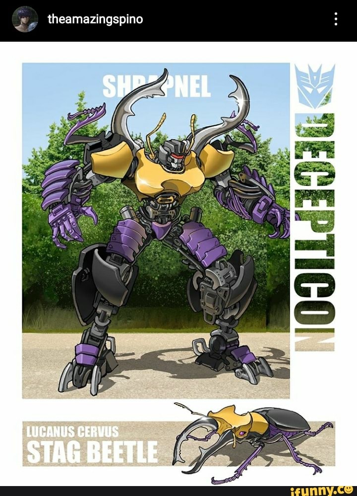 Insecticon memes. Best Collection of funny Insecticon pictures on iFunny