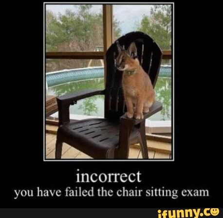 incorrect you have failed the chair sitting exam