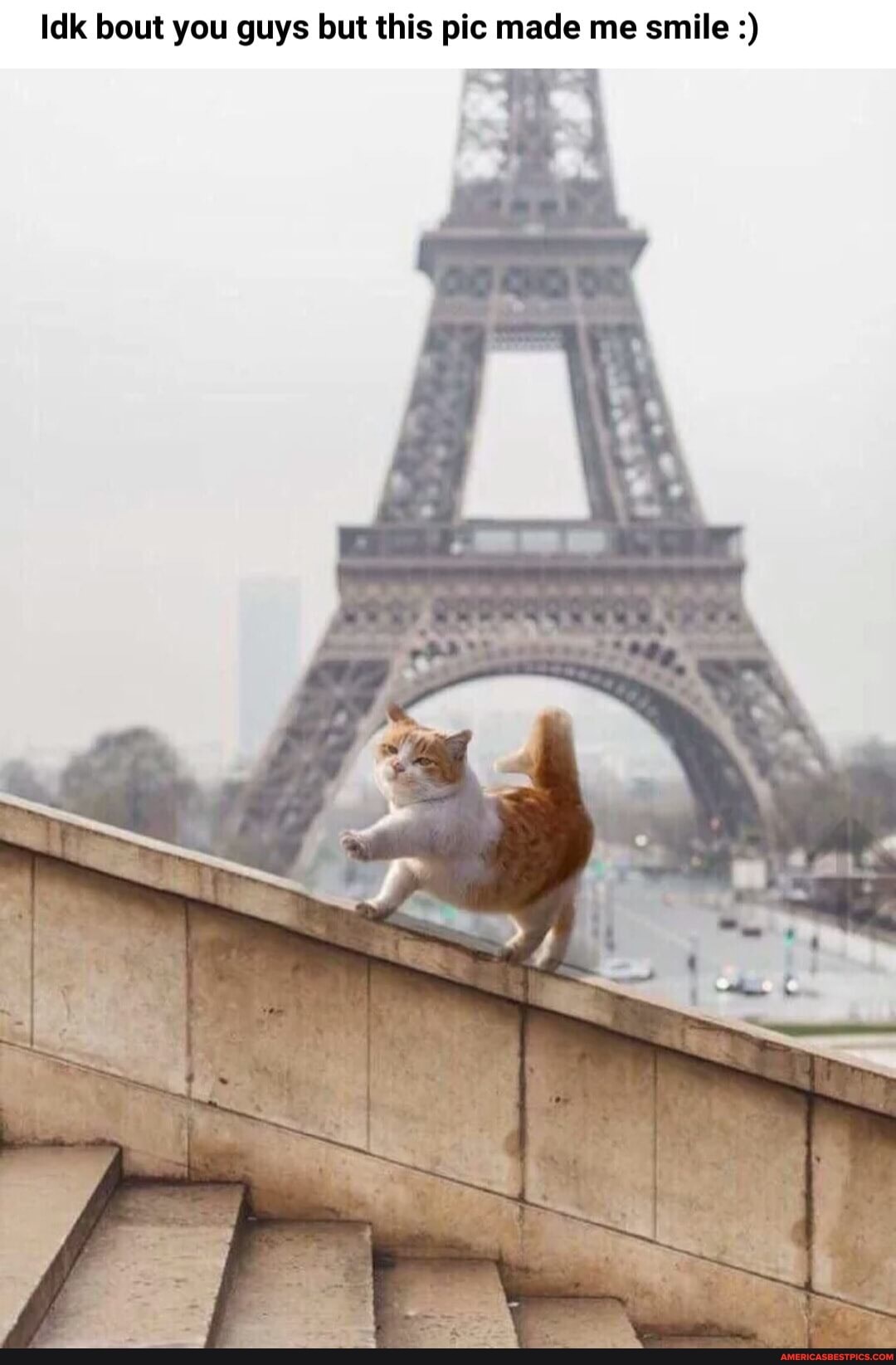 Idk bout you guys but this pic made me smile