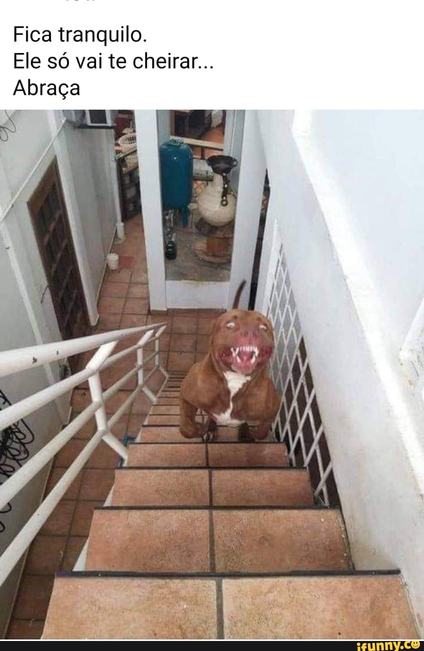 Fica tranquilo.
Ele só vai te cheirar...
Abraça