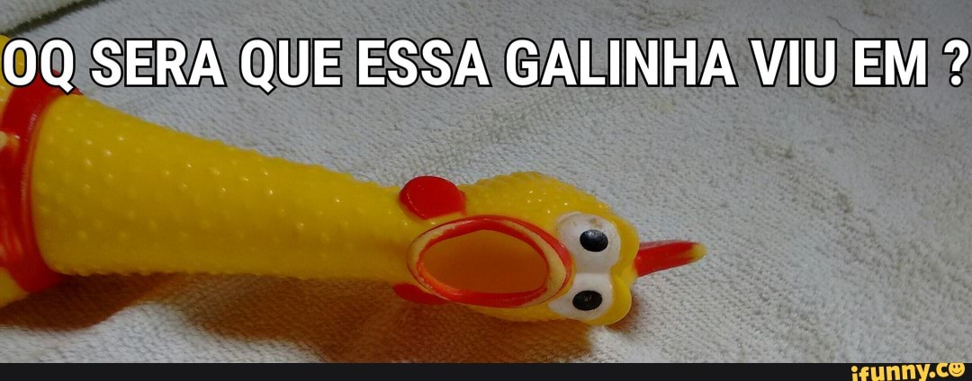 OQ SERA QUE ESSA
GALINHA VIU EM